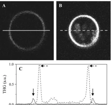 FIGURE 5 Imaging calcium concentration changes around giant uni- uni-lamellar vesicles (GUVs)