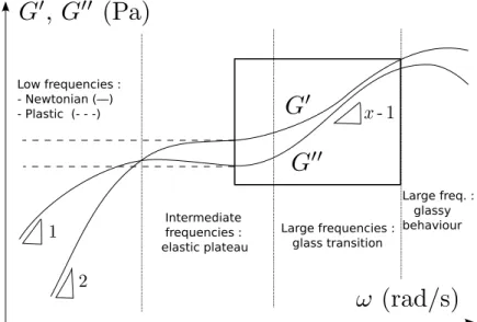 Figure 1: Dynamic viscoelastic spectrum (G 0 ,G 00 ) for a soft polymeric biomaterial (log–log scale)