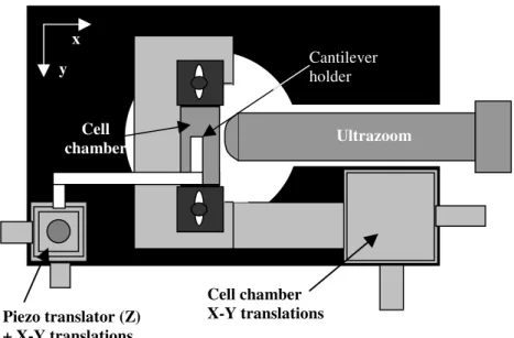 FIGURE 1 y x Cell chamber Cell chamber X-Y translations Piezo translator (Z) + X-Y translations UltrazoomCantileverholder