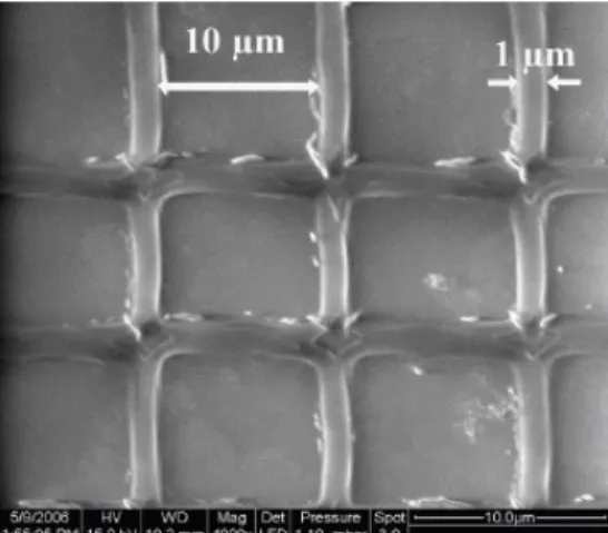 Figure 6: Scanning Electron Microscopy of a BSA grid  obtained by scanning 20mw of Ti:sapphire laser