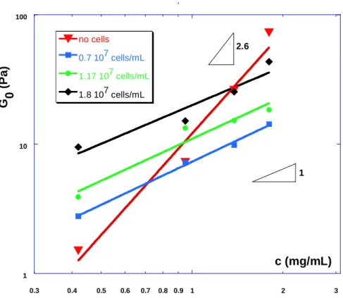 Fig. 4: Concentration dependence of the shear elastic modulus G 0  (0.1 Hz) vs collagen  concentration (log-log scale) with and without cells
