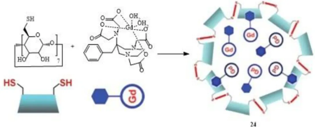 Figure  13.  Nanoscale  redox-activated  MRI  probe  24,  based  on  S-S  rearrangement