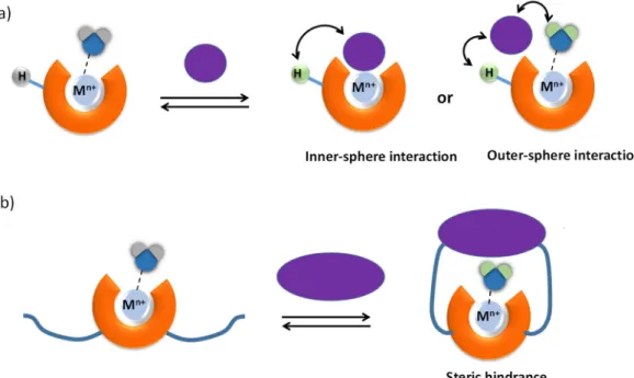 Figure 2. Schematic representation of the different binding modes of anions or metabolites with the ParaCEST agent: (a) Inner or inter-sphere interaction affecting the exchange rate of protons on the ligand and/or on the coordinated water molecule; (b) use