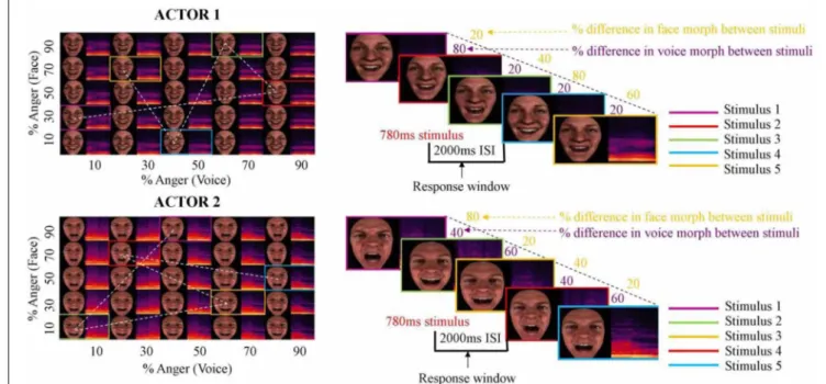 FIGURE 1 | Stimuli and continuous carry-over design. Anger and happiness expressions produced by two actors were morphed in both face and voice between 10and 90% anger, in 20% steps