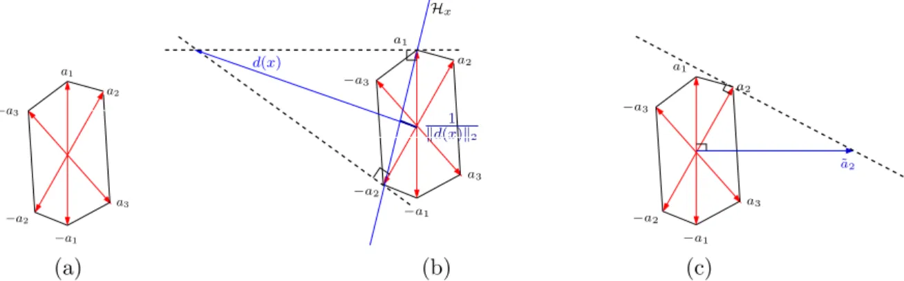 Figure 1: Illustration relative to the polytope formed by taking the convex hull of the 2N points (±a i ) in R M .