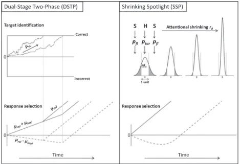 Fig. 1. Basic architectures of the DSTP (left panel) and SSP (right panel) diffusion models