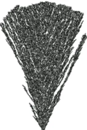 Figure 3: Large DDLA cluster obtained by Vincent Beffara.