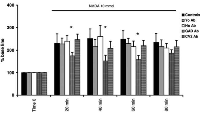 Figure 4. Effects of antibodies on NMDA-induced nitric oxide production in rat cerebellum in vivo