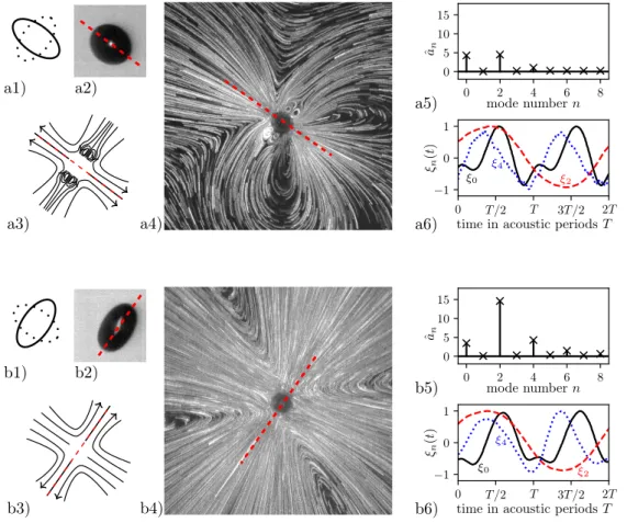 Figure 8. Presentation of two different streaming patterns observed for a bubble oscillating in a mode 2: case (a) – Cross-shaped pattern with four small lobes close to the bubble (R 0 = 49.7 µm, p a = 34.5 kPa); case (b) – cross-shaped pattern without any