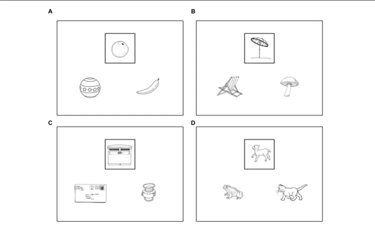 FIGURE 1 | Samples of stimuli. The framed drawing was compared with the two bottom ones according to four possible instructions: Same Shape, Same Category, Different Shape, and Different Category