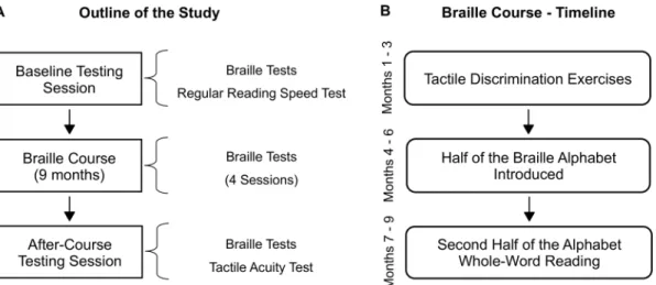 Fig 1. Outline of the study and timeline of the braille course. (A) Sighted adults underwent a 9-month braille course