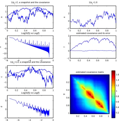 Figure 2. Random IFS for N = 2. (a) p 1 = 1/2 = p 2 , a snapshot of the random fixed point and its covariance given by eq
