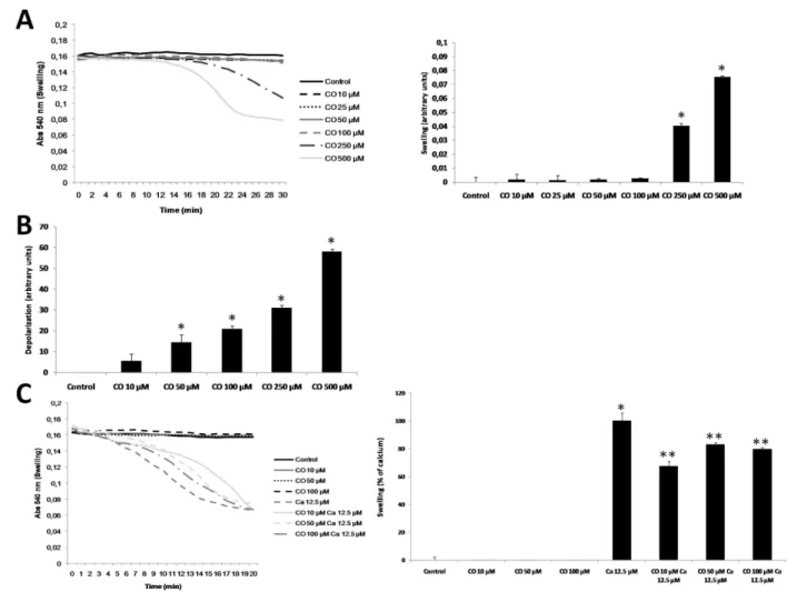 Figure 1 Effect of carbon monoxide concentration in mitochondrial swelling. Mitochondrial swelling was followed by the decrease in absorbance at 540 nm at 37°C for 30 minutes