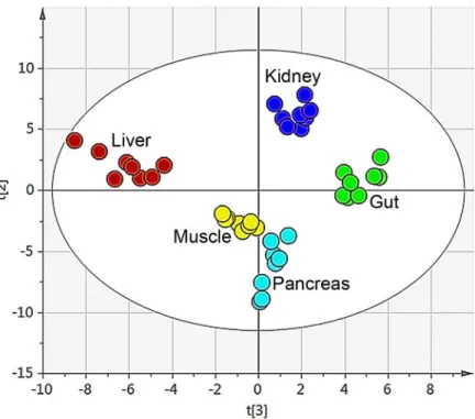 Fig 2. Organ sample PCA score plot. The score plot for the four component PCA model (R 2 X(cum) = 0.67 and Q 2 (cum) = 0.52) for the five different organs (gut, kidney, liver, muscle and pancreas)