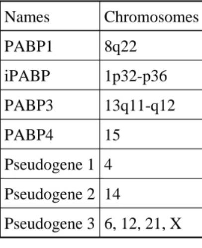 Table 2. Summary of the chromosomal locations of the PABP gene family