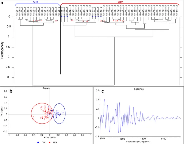 Fig. 4 HCA dendrogram and PCA graphs for human glioma big image BV spectra. (a) HCA dendrogram comparing BV spectra between the two areas identified by the pathologists as GIII and GIV