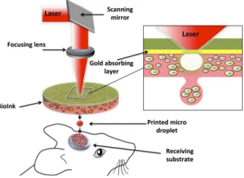 Figure 1.  Schematic representation of the laser assisted bioprinting (LAB) approach. A typical LAB setup  comprises a pulsed laser beam, a focusing system, a ribbon (a transparent glass slide, coated with a  laser-absorbing layer of metal, onto which a th