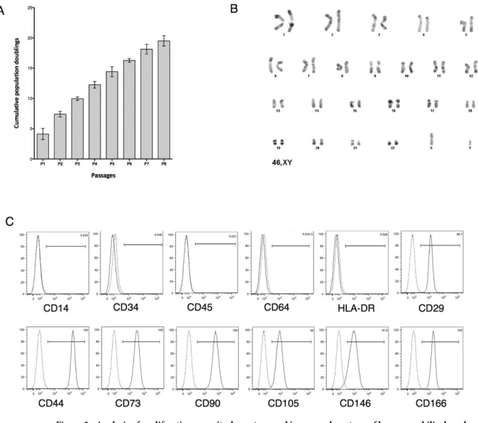 Table 1.   Comparison of the expression of surface markers of UCB-MSCs from passage two to eight