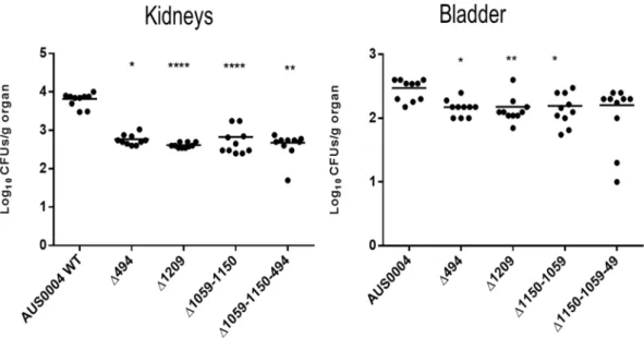 Figure 5.  Effect of AUS0004 (wild-type strains) and the deletion mutants in a mouse model of urinary tract  infection