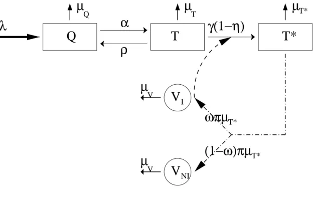 Figure 2. Graphical representation of the system for HIV dynamics.