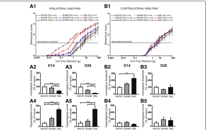 Fig. 1 Mechanical static allodynia and hyperalgesia impairment 14 and 28 days after spinal nerve ligation