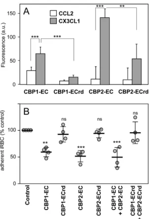 Figure 7.  Specific and functional interaction between CX3CL1 and the CBP-EC peptides assayed by  fluorescence and static adherence