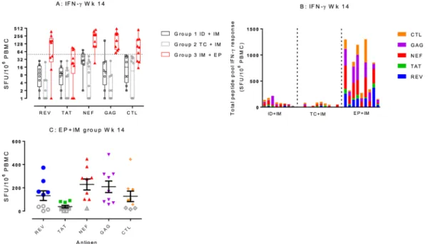 Figure 1.  Summary of immunogenicity. (A) T cell IFN-ɣ ELISpot responses at the primary end point  (week 14)