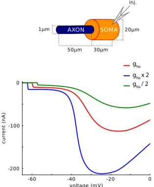 Fig 5. Peak current versus holding voltage in somatic voltage-clamp, using the simple model with different Nav channel conductance densities (from half to twice the initial value used in Fig 4).