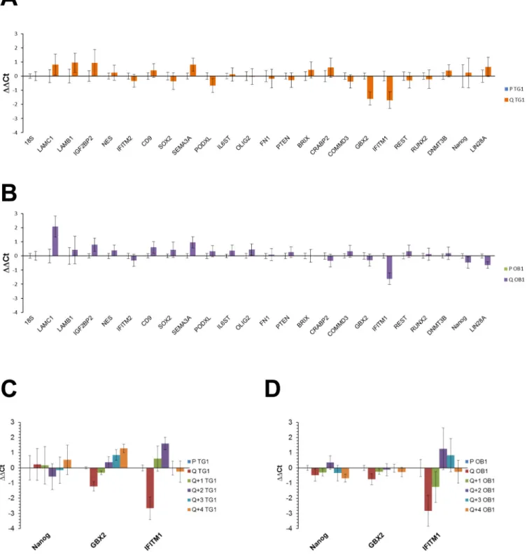 Fig 4. Expression of stemness, pluripotency or differentiation related genes in TG1 and OB1 cells under different in vitro culture conditions