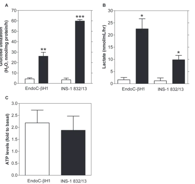 Fig 4. Glucose utilization, lactate and ATP levels in EndoC- β H1 and INS-1 832/13 cells