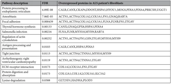Table 2.  Kyoto Encyclopedia of Genes and Genomes (KEGG) pathway analysis of the over- and under- under-expressed components in ALS (P  <  0.05; at least 2 proteins per pathway)