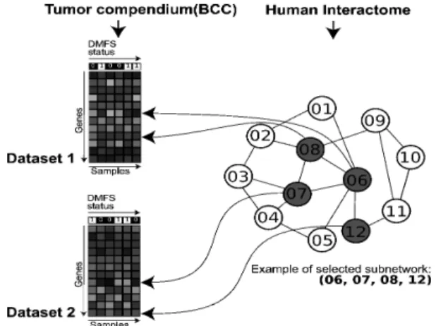 Fig.  1.  Interactome-Transcriptome  integration  (ITI)  algorithm.  Two  data  types were fed to the algorithm, the 5 training breast cancer datasets and an  interactome