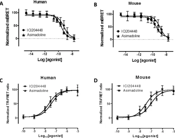 Figure 1.  Gi activation and internalisation of  κ   receptors by asimadoline and ICI204448 in HEK293 cells expressing  human (panels A and C) and mouse (panels B and D)  κ   receptors