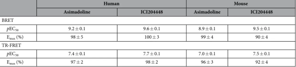 Table 1.  The ability of asimadoline and ICI204448 to recruit G proteins (BRET) and internalise (TR-FRET)  human and mouse κ receptors expressed in HEK293 cells