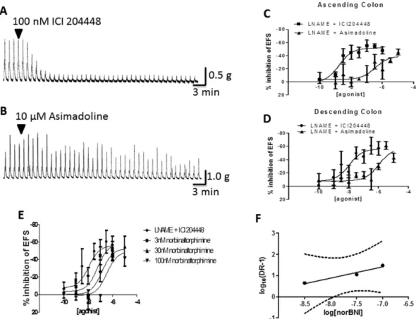 Figure 5.  Receptor occupancy studies in human descending colon. In these experiments, conducted in the  presence of L-NAME 300  μ  M, asimadoline or vehicle was added 30 min before application of an approximately  EC 80  concentration of ICI204448 (60 nM)