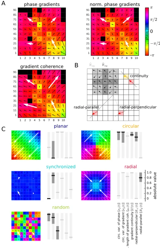 Figure 8.  Explanation of the methodology. (A) Example phase map  Φ xy (t) (colors) of monkey L (session  identifier l101013-002) with overlay of phase gradient map  Γ xy (t) (top left), phase direction map  Δ xy (t) (top  right) and gradient coherence map