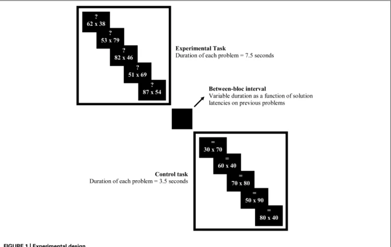 FIGURE 1 | Experimental design.