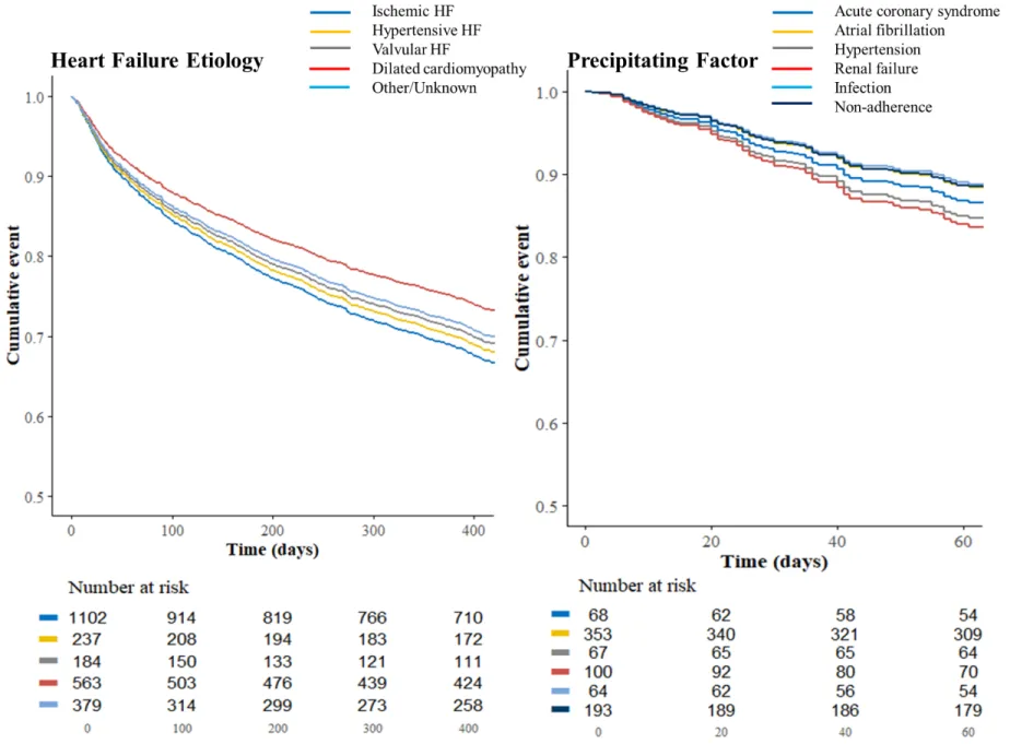 Figure 2. BIOSTAT-CHF risk model-adjusted Survival Curves for the Primary Outcome according to the Heart Failure Etiologies and  Precipitating Factors 