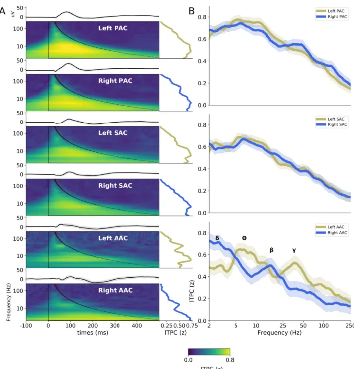 Fig 2. Evoked activity in response to pure tones (0.5 kHz and 1 kHz merged) in hierarchically organized auditory areas