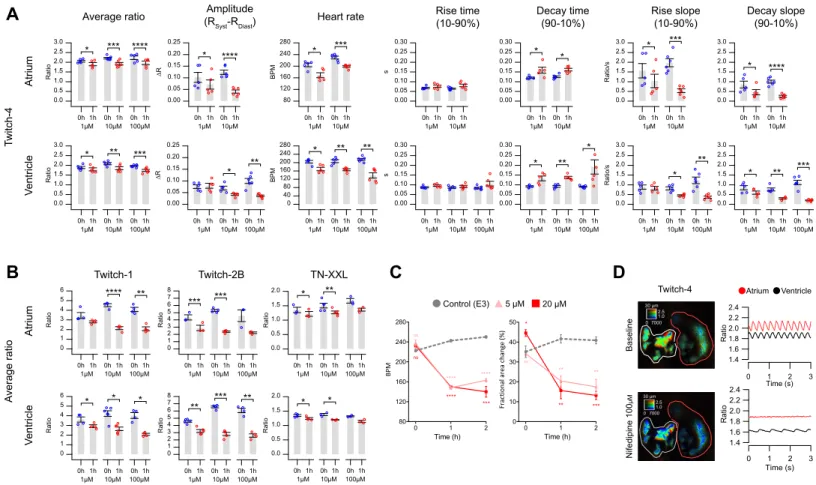 Figure 6. Effect of the L-type Ca 2 + channel blocker nifedipine on heart Ca 2 + levels measured with Twitch and TN-XXL biosensors