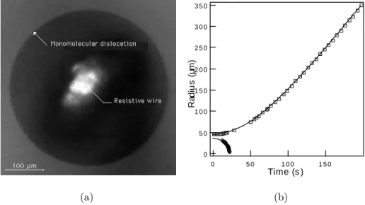 Fig. 5. (a): Photograph of a monomolecular dislocation loop created with the heating wire (see Fig
