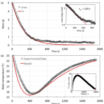 FIG. 6. (a) Time evolution of the the mass of evaporating liquid (ethanol) and exponential fit (solid red lines)