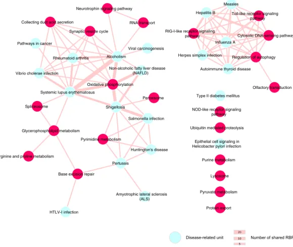 Figure 5.  Network representation of disease-related units sharing common RBPs. The size of the edges is  proportional to the number of shared RBPs by the two units