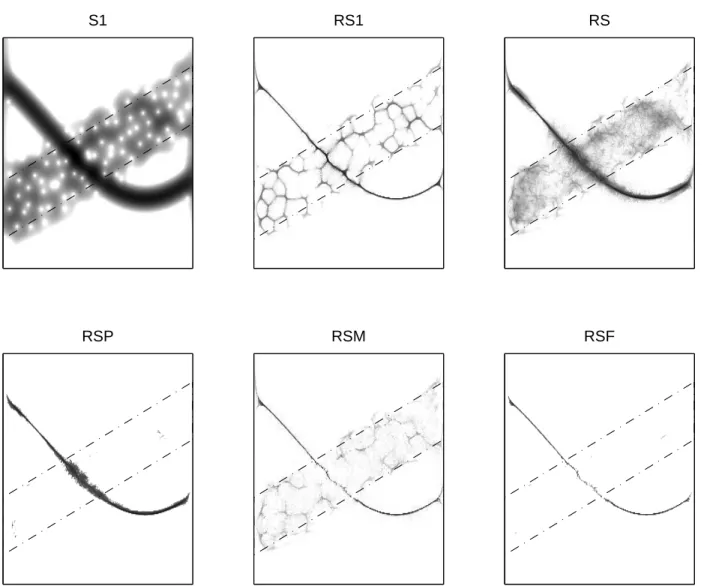 Fig. 6. Comparison of WVS estimates: one chirp in time-varying noise. Each diagram represents a WVS estimate in the case of one realization of a nonlinear chirp signal embedded in time-varying Gaussian noise with SNR = 5 dB