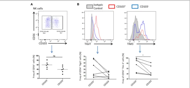 FIGURE 2 | Resident NK cells displayed an inhibitory profile in the tumor. (A) Resident NK cells (CD45 + CD3 − CD56 + ) were identified based on CD103 expression