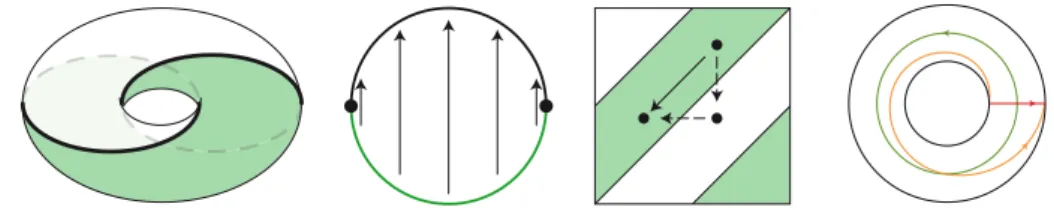 Figure 3. On the left, a positive Hopf link as the boundary of an annulus. In the center left, one half of the monodromy