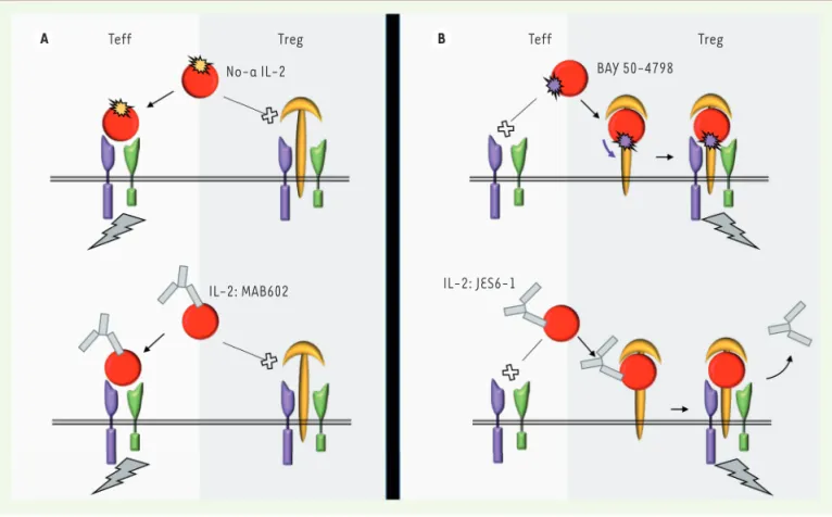 Figure 3. Stratégies moléculaires pour moduler la balance lymphocytes T effecteurs/T régulateurs vers la composante effectrice (A) ou régulatrice  (B)