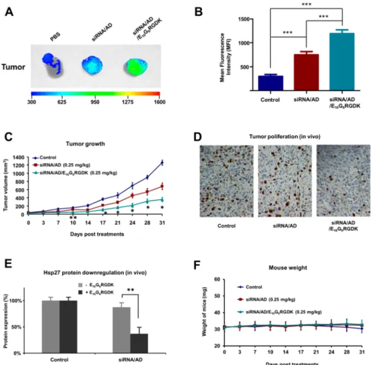 Figure 5. Targeted siRNA/AD/E 16 G 6 RGDK delivery system (A, B) accumulates more e ﬃ ciently in tumor tissues and (C, D) is much more potent than the nontargeted siRNA/AD system for gene silencing and anticancer activity in tumor xenograft mice