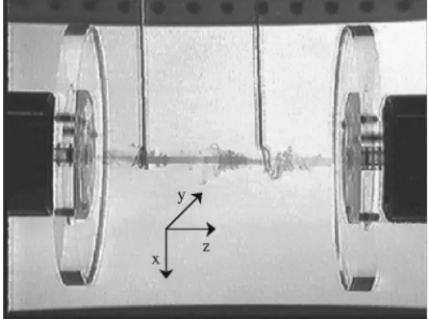 FIG. 1. Sketch of the experimental setup 共 a 兲 in the (y ,z) plane;