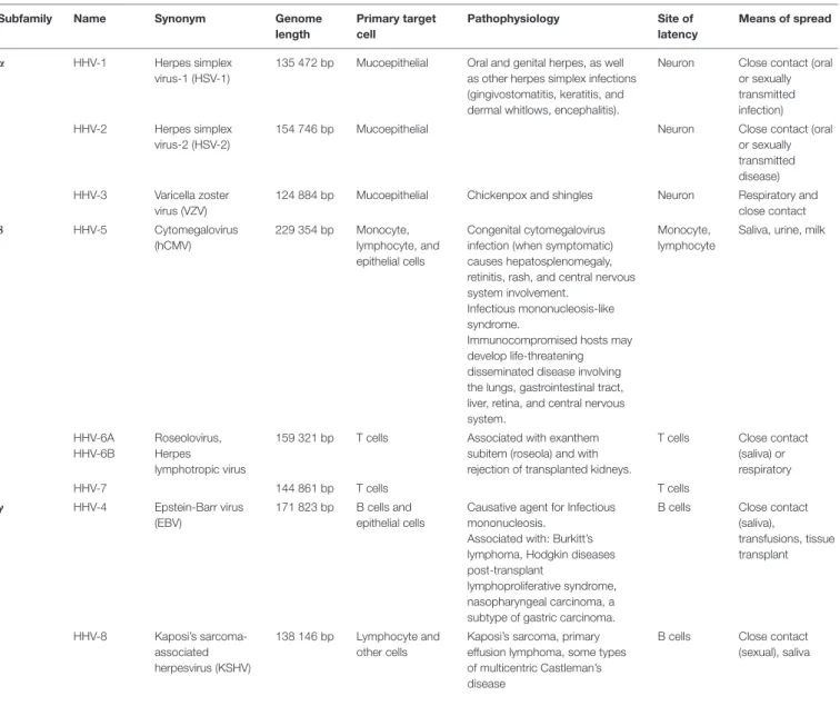 TABLE 1 | Human herpesvirus (HHV) classification.